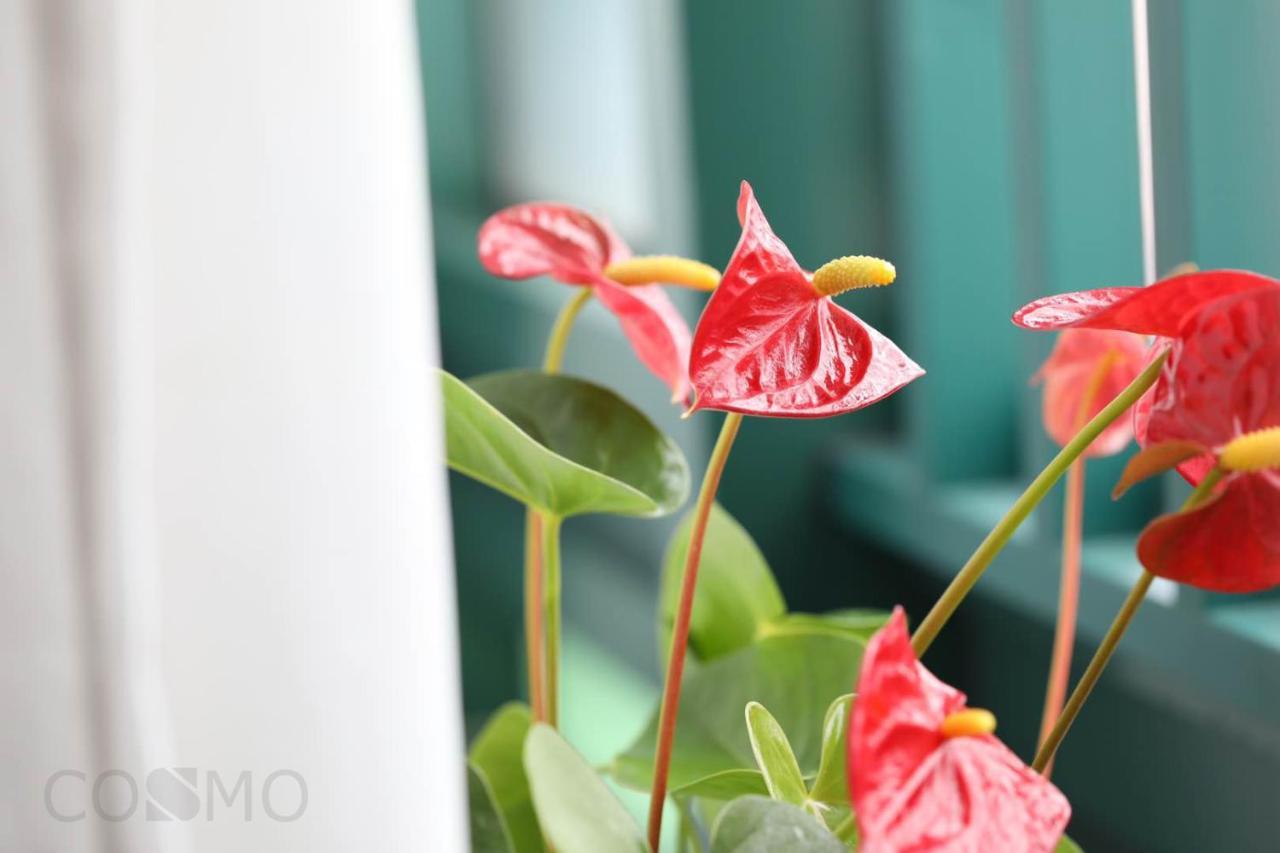 Shanghai Cosmo World Union Service Apartment Dış mekan fotoğraf